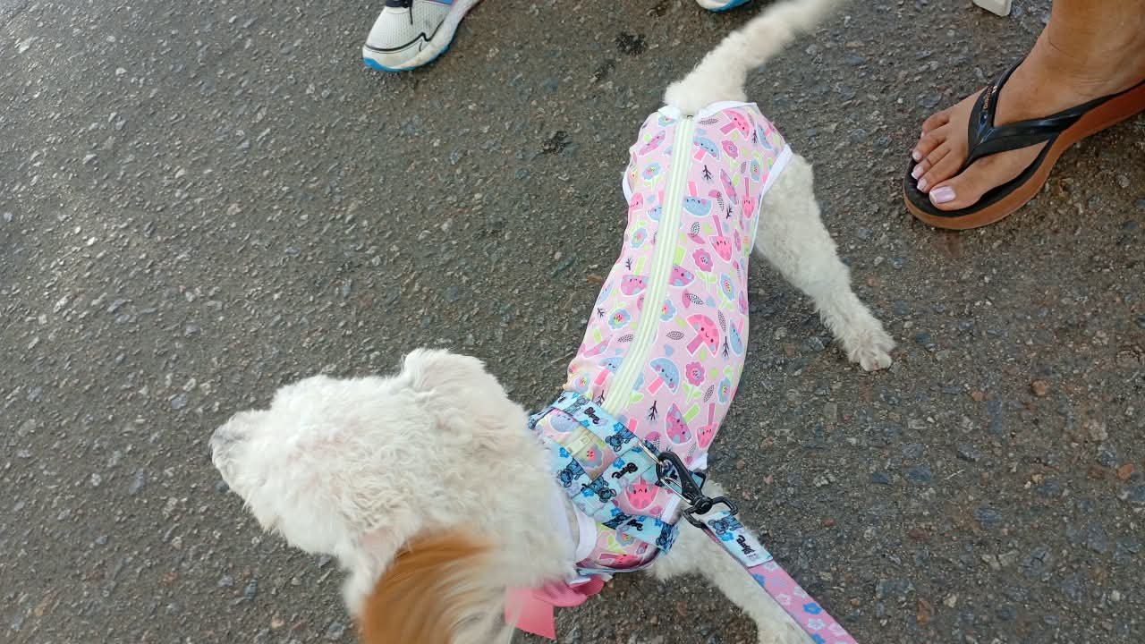 Foto de MEL